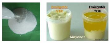 Kemik Atık Yağından Süt Tozu Ve Peynir Altı Suyu Proteini İle Kaplanmış Toz Emülgatör (E471) Üretimi